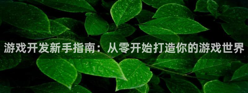 沐鸣2主管：游戏开发新手指南：从零开始打造你的游戏世界