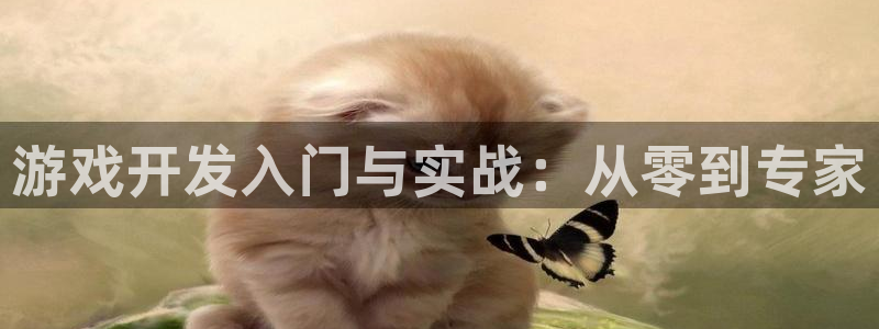 沐鸣2app下载：游戏开发入门与实战：从零到专家