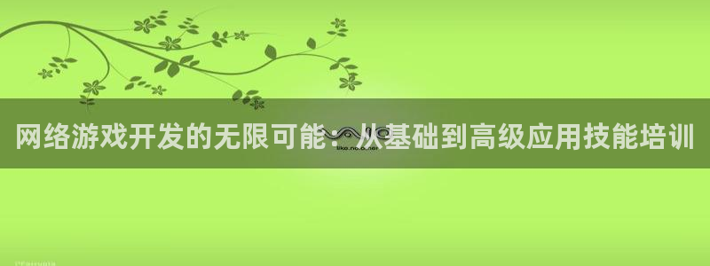 沐鸣2登陆扣27337：网络游戏开发的无限可能：从基础到高级应用技能培训