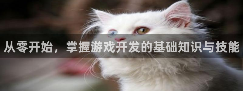 沐鸣2手机网页版：从零开始，掌握游戏开发的基础知识与技能