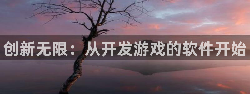 沐鸣2测速：创新无限：从开发游戏的软件开始