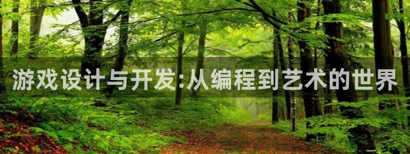 沐鸣娱乐2是正规平台么：游戏设计与开发:从编程到艺术的世界