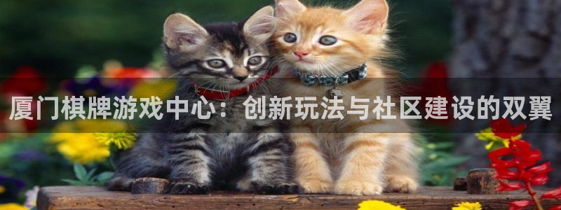 沐鸣娱乐2登录平台官网网址：厦门棋牌游戏中心：创新玩法与社区建设的双翼