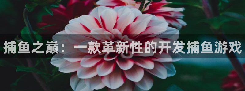 沐鸣娱乐2官网网址是什么：捕鱼之巅：一款革新性的开发捕鱼游戏