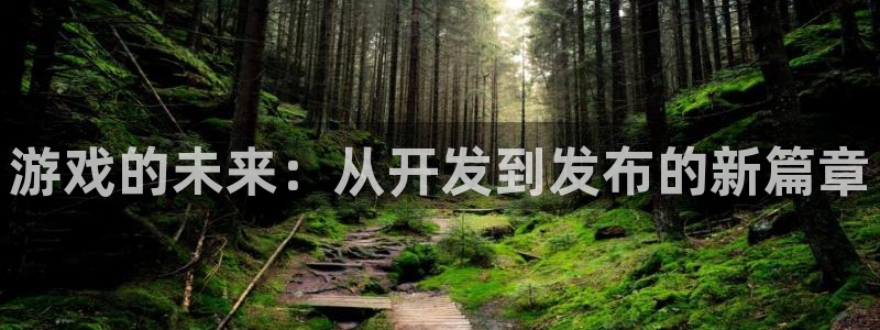 沐鸣娱乐2官网网址是多少：游戏的未来：从开发到发布的新篇章