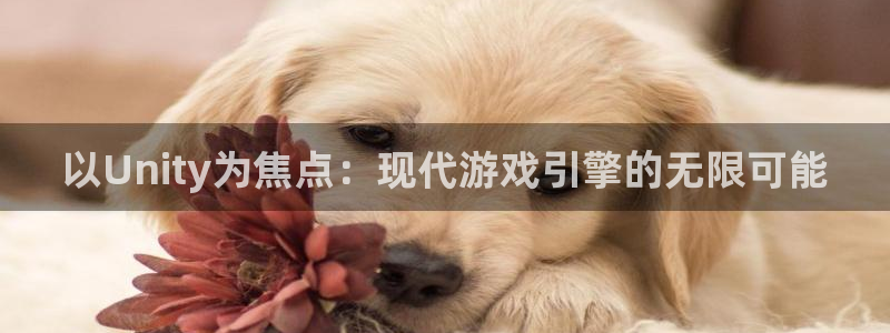 沐鸣2注册地址：以Unity为焦点：现代游戏引擎的无限可能