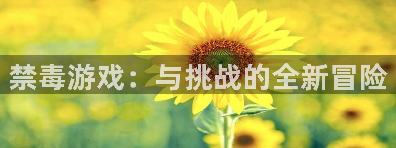 沐鸣2注册流程：禁毒游戏：与挑战的全新冒险