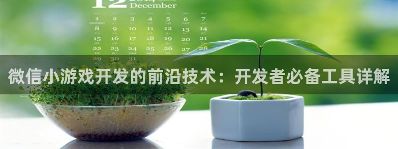 沐鸣2测速登陆：微信小游戏开发的前沿技术：开发者必备工具详解