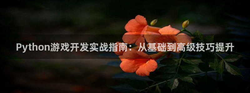 沐鸣2平台官方注册登录：Python游戏开发实战指南：从基础到高级技巧提升