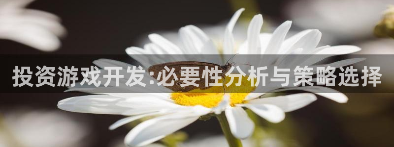 沐鸣2登录测速：投资游戏开发:必要性分析与策略选择