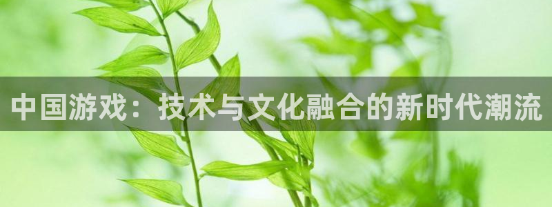 沐鸣娱乐2官方网站注册链接：中国游戏：技术与文化融合的新时代潮流
