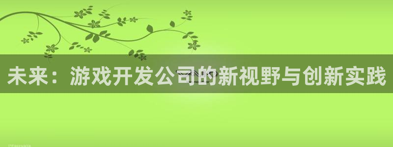 沐鸣2平台在线注册：未来：游戏开发公司的新视野与创新实践