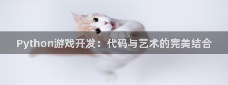 沐鸣2登录注册：Python游戏开发：代码与艺术的完美结合