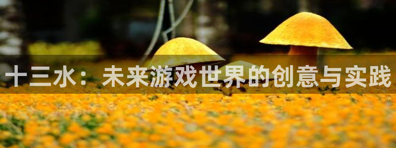沐鸣娱乐2官方平台是什么：十三水：未来游戏世界的创意与实践